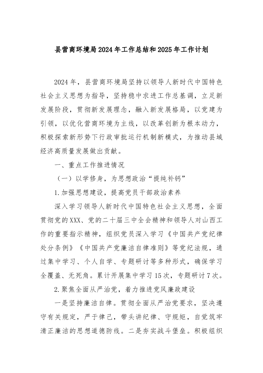 县营商环境局2024年工作总结和2025年工作计划.docx,第1页预览