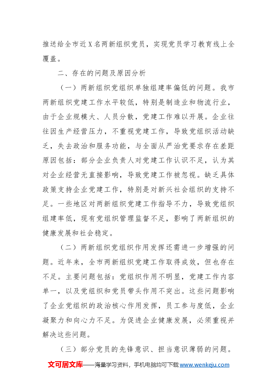 市两新党组织2024年党建工作情况总结及下一步工作计划.docx,第4页预览