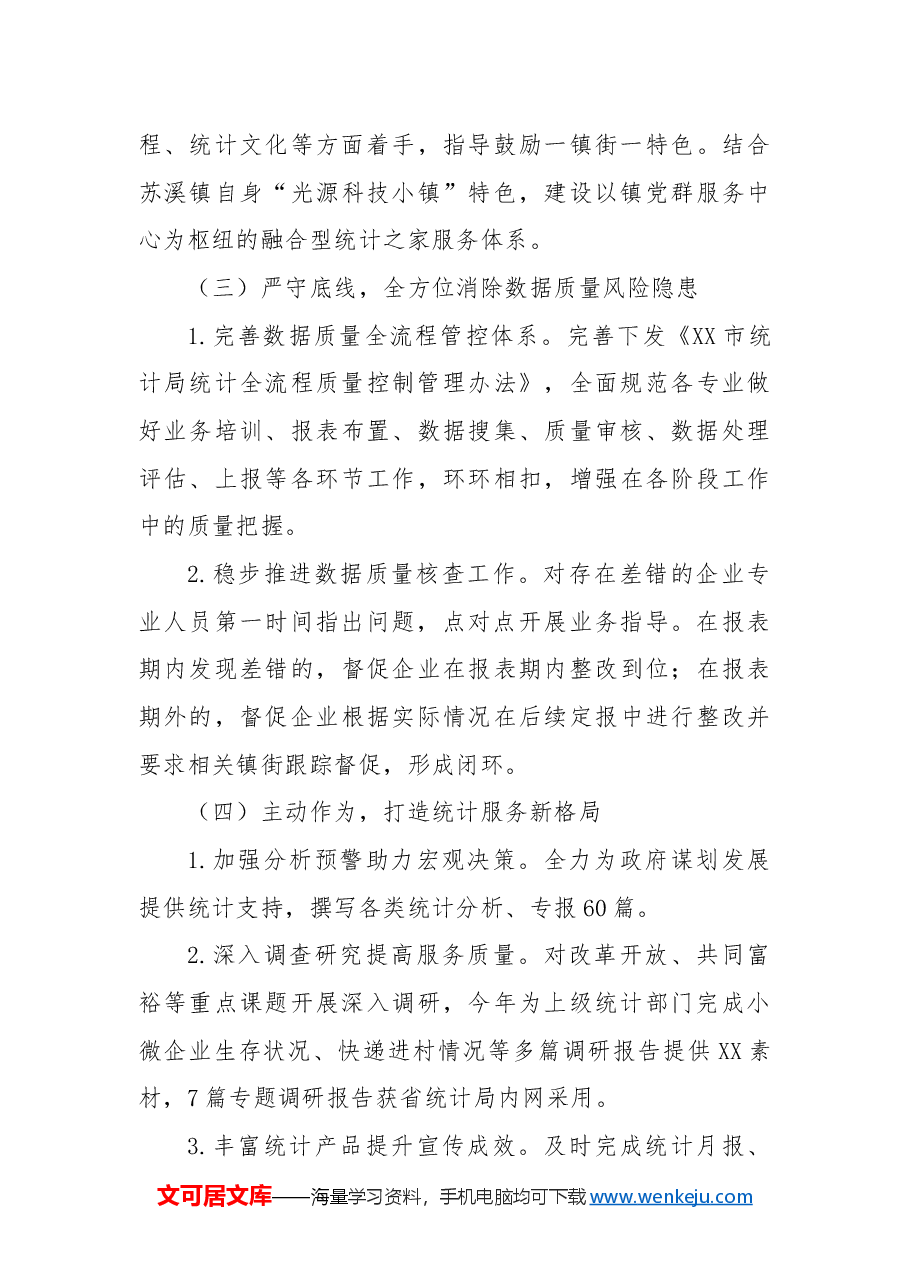 市统计局2024年工作总结和2025年工作思路.docx,第3页预览