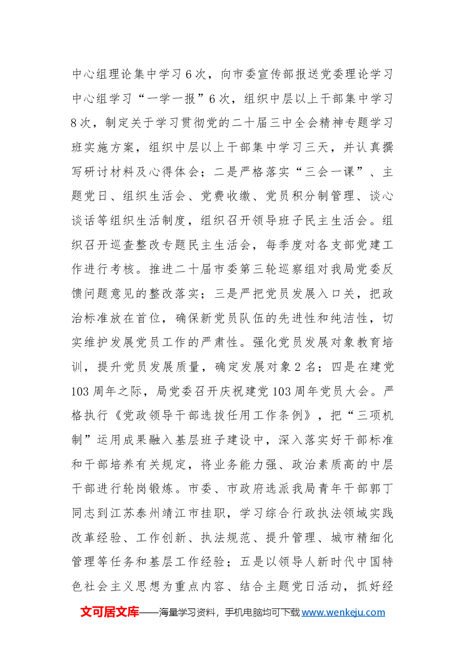 市综合行政执法局2024年度工作总结暨2025年度工作计划.docx,第2页预览
