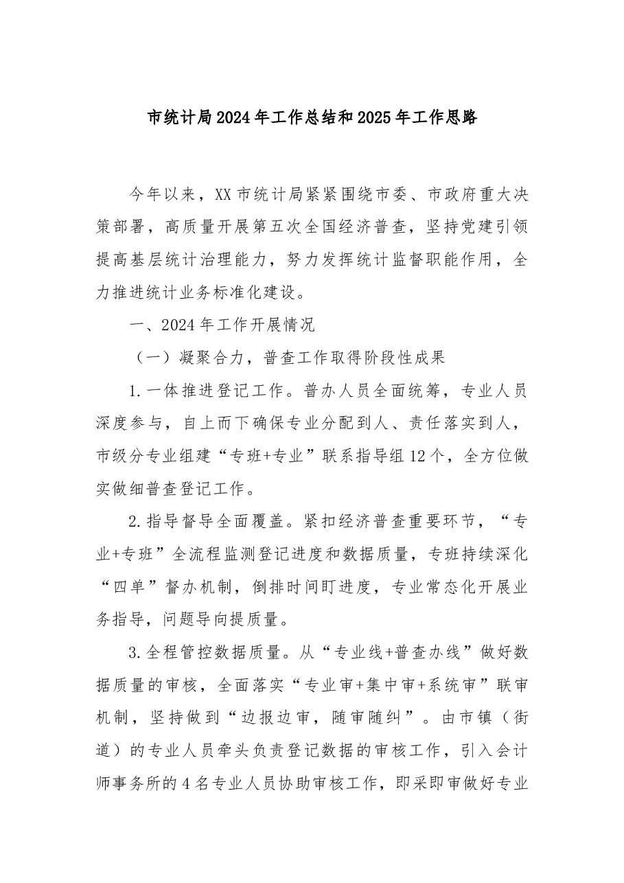 市统计局2024年工作总结和2025年工作思路.docx,第1页预览