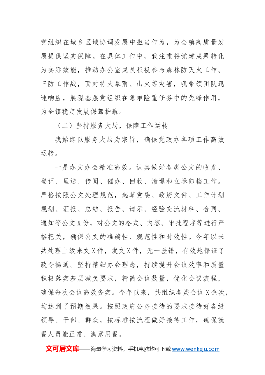 乡镇党政办主任2024年度个人工作总结.docx,第2页预览