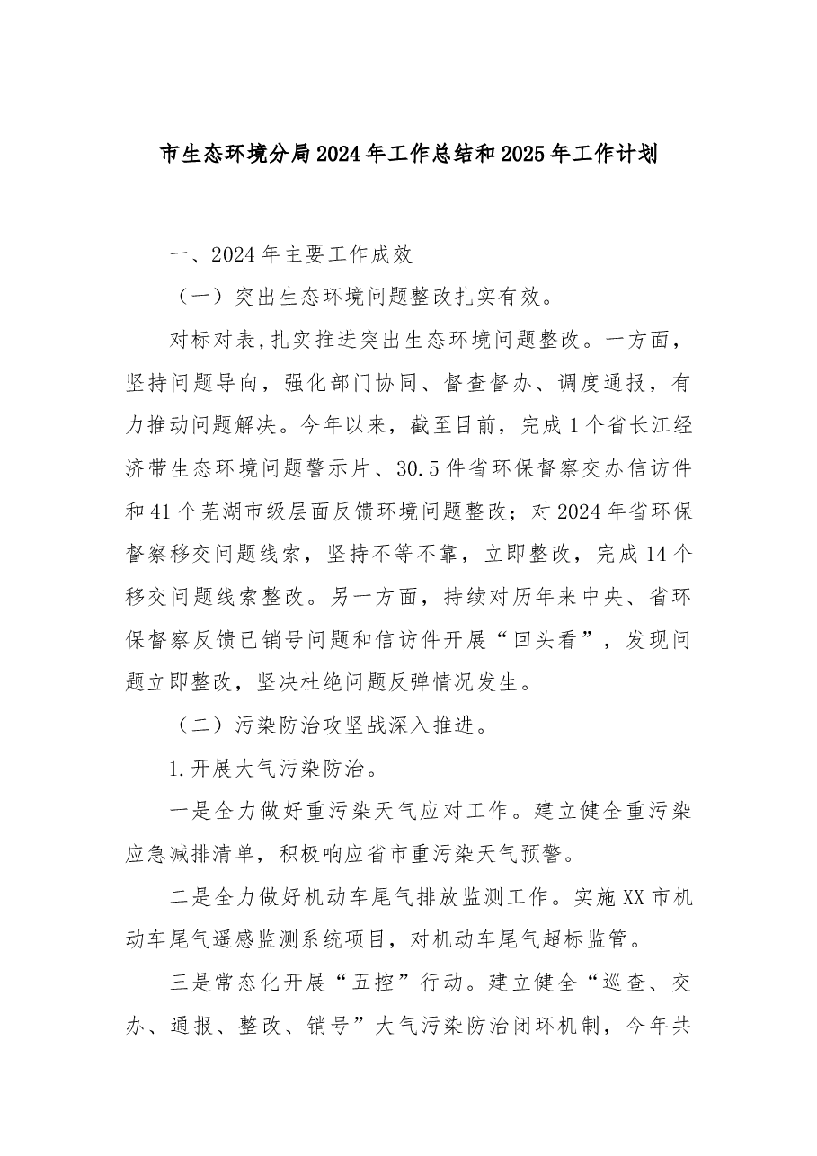 市生态环境分局2024年工作总结和2025年工作计划.docx，第1页预览
