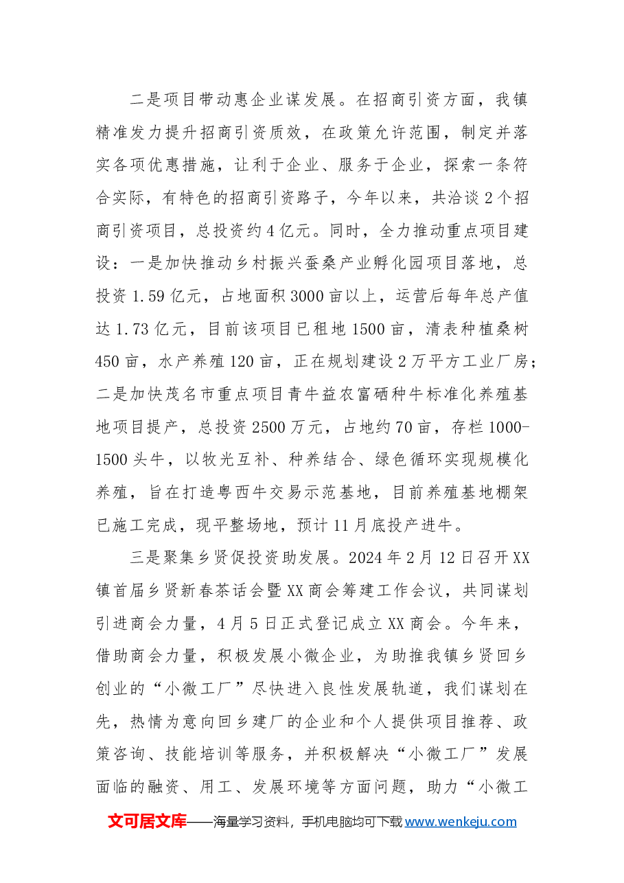 镇人民政府2024年工作总结和2025年工作计划2.docx,第2页预览