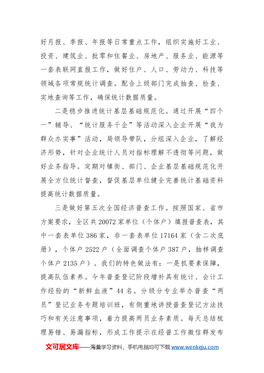 区统计局2024年统计工作总结及2025年工作计划.docx，第3页预览