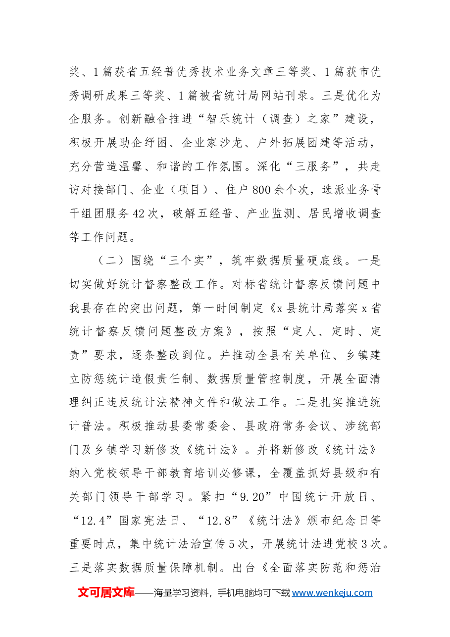 某县统计局2024年工作总结和2025年工作思路.docx,第2页预览