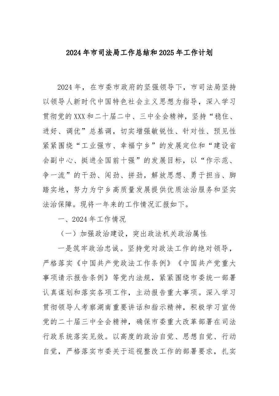 2024年市司法局工作总结和2025年工作计划.docx,第1页预览