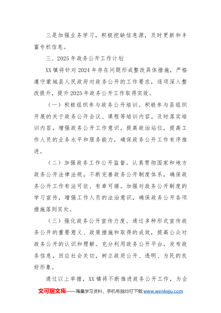 XX镇2024年政务公开工作总结及2025年工作计划.docx,第4页预览
