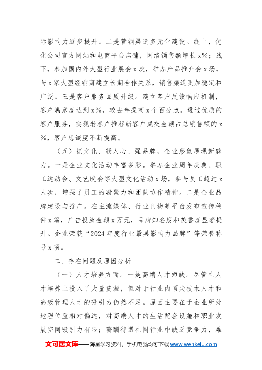2024年工作情况总结及2025年工作计划(集团公司).docx,第3页预览