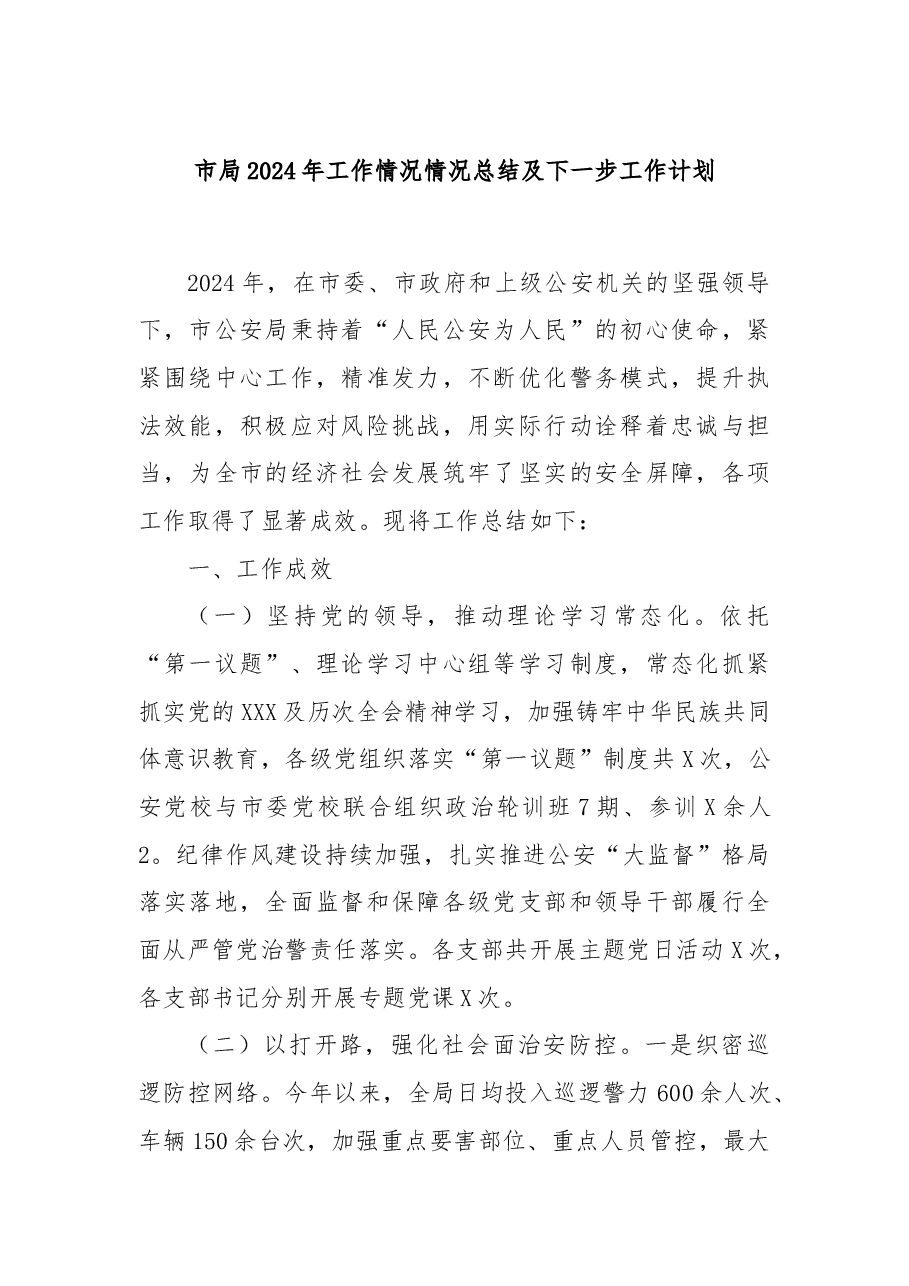 市局2024年工作情况情况总结及下一步工作计划.docx，第1页预览