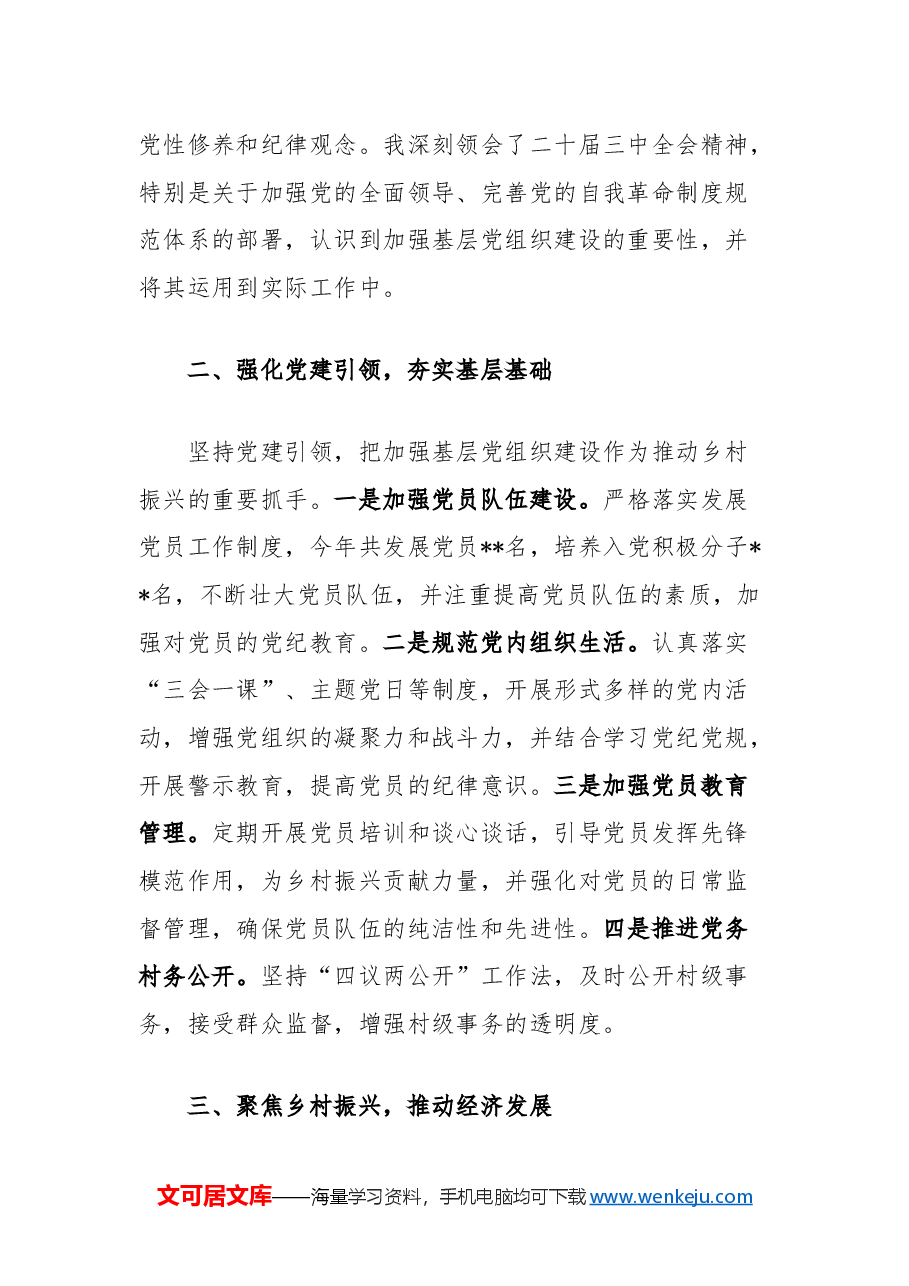 2024年度村党支部书记个人总结.docx,第2页预览