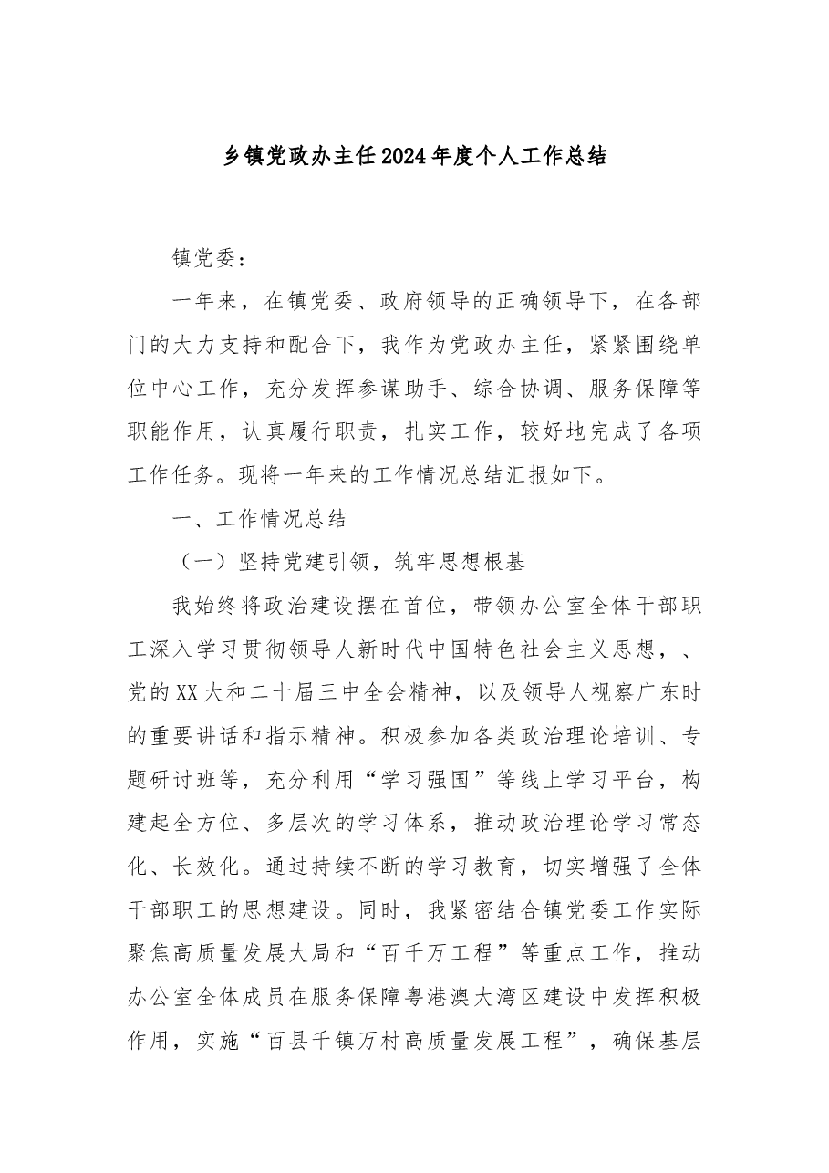 乡镇党政办主任2024年度个人工作总结.docx,第1页预览