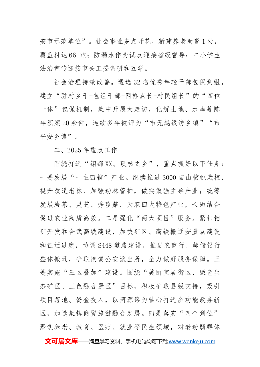 XX县XX乡2024年度工作总结及2025年工作计划.docx,第2页预览
