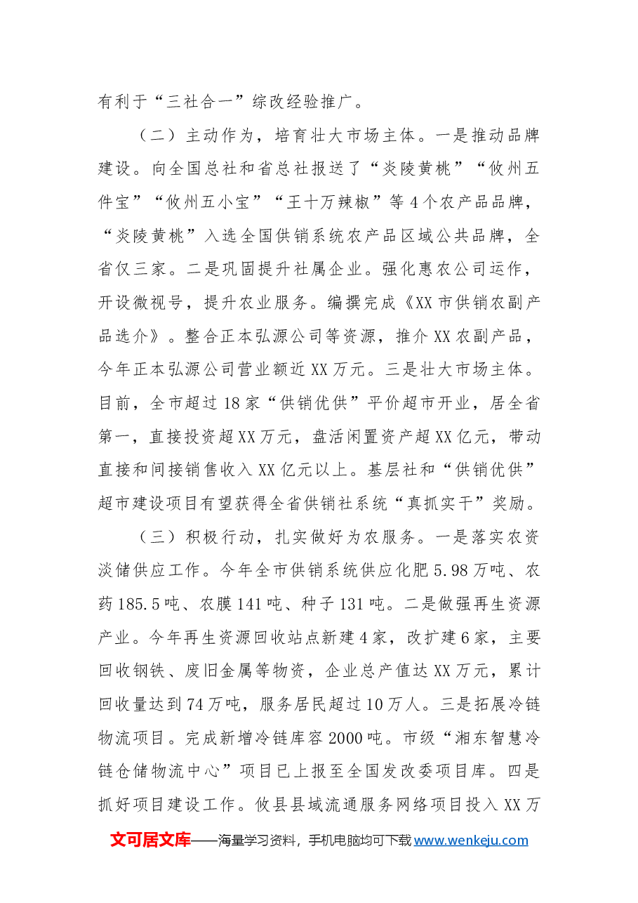 市供销合作社2024年工作总结及2025年工作计划.docx,第3页预览