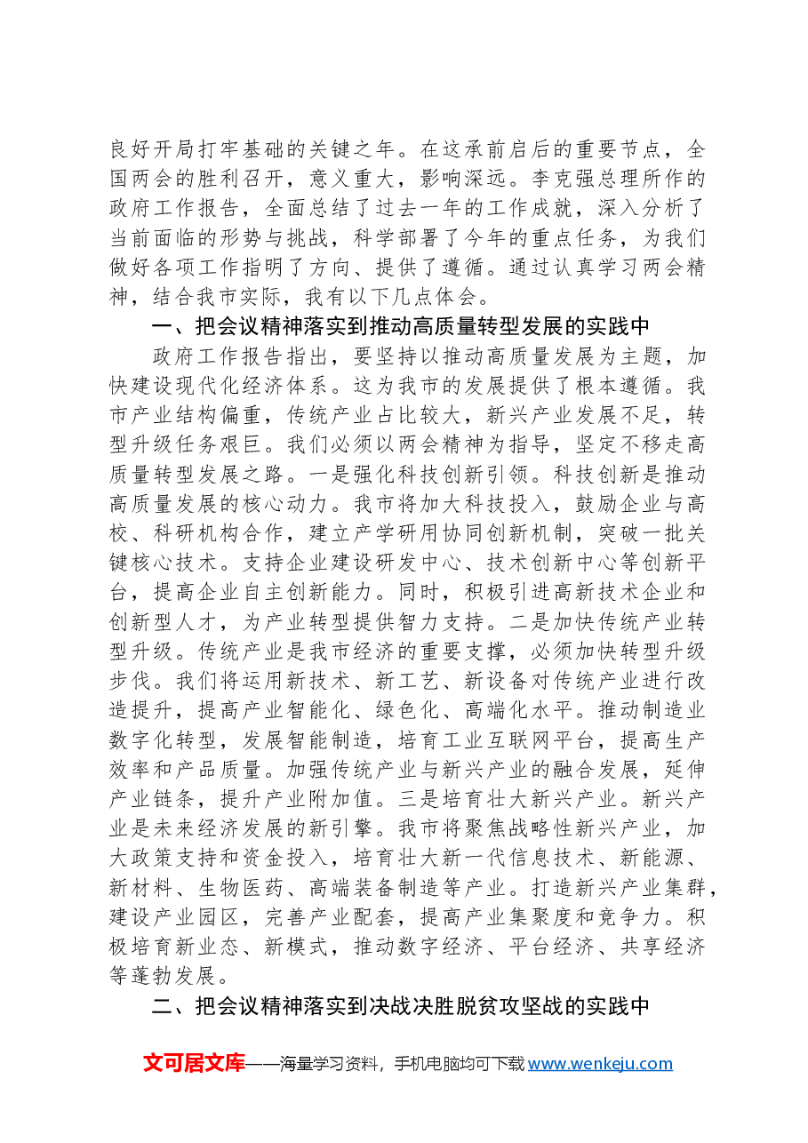 (5篇)学习贯彻2025年“两会”精神心得体会、研讨发言5篇.docx,第4页预览