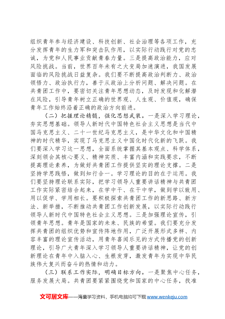 团市委书记学习习近平总书记在2025年全国“两会”上重要讲话精神交流发言材料.docx,第2页预览