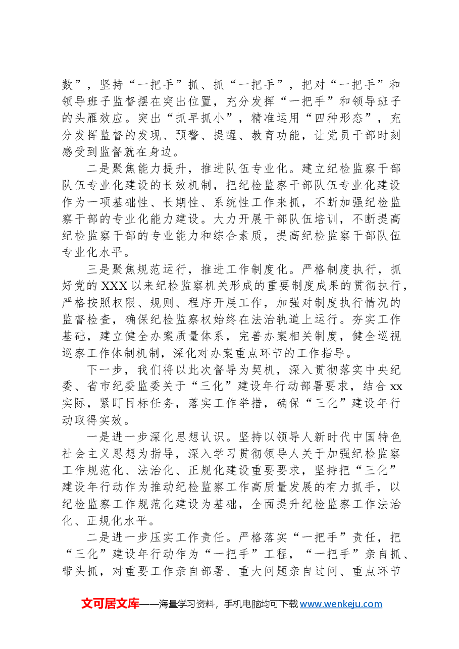 （2篇）开展“纪检监察工作规范化法治化正规化建设年”行动工作报告.docx，第4页预览