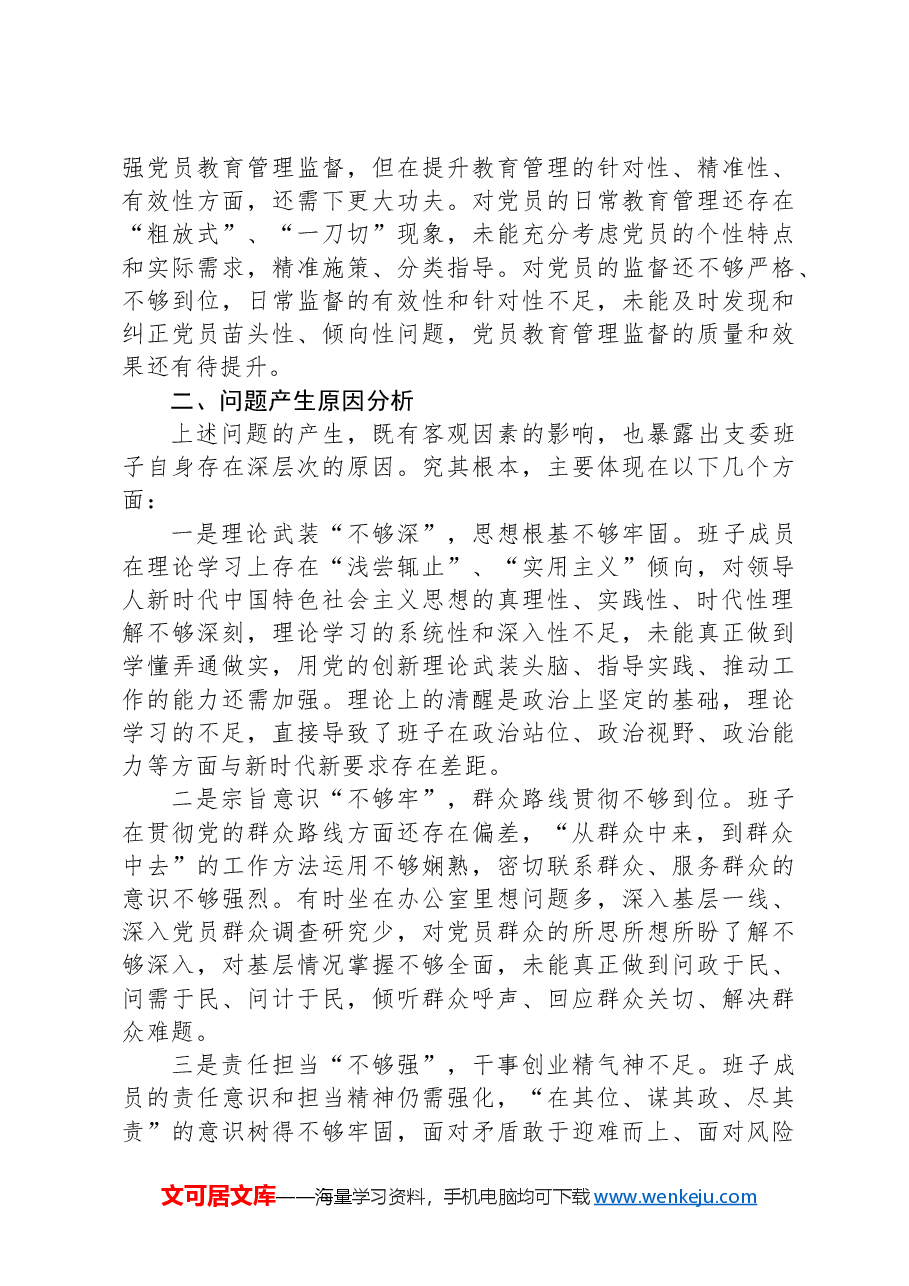 支部委员会班子2025年组织生活会对照检查(发言)材料.docx,第4页预览