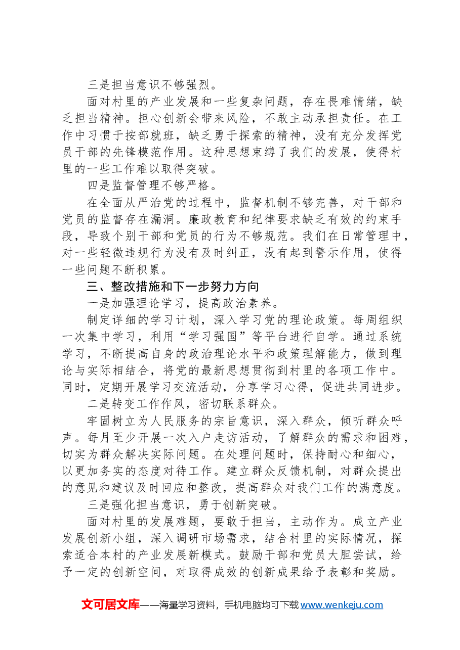 2024年度最新组织生活会个人发言提纲.docx,第3页预览