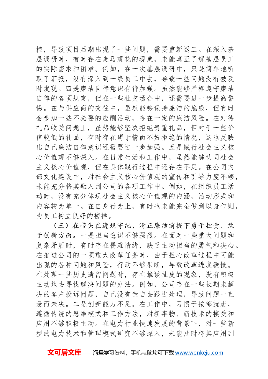 供电公司总经理、党委副书记2024年度民主生活会个人对照检视剖析材料.docx,第4页预览