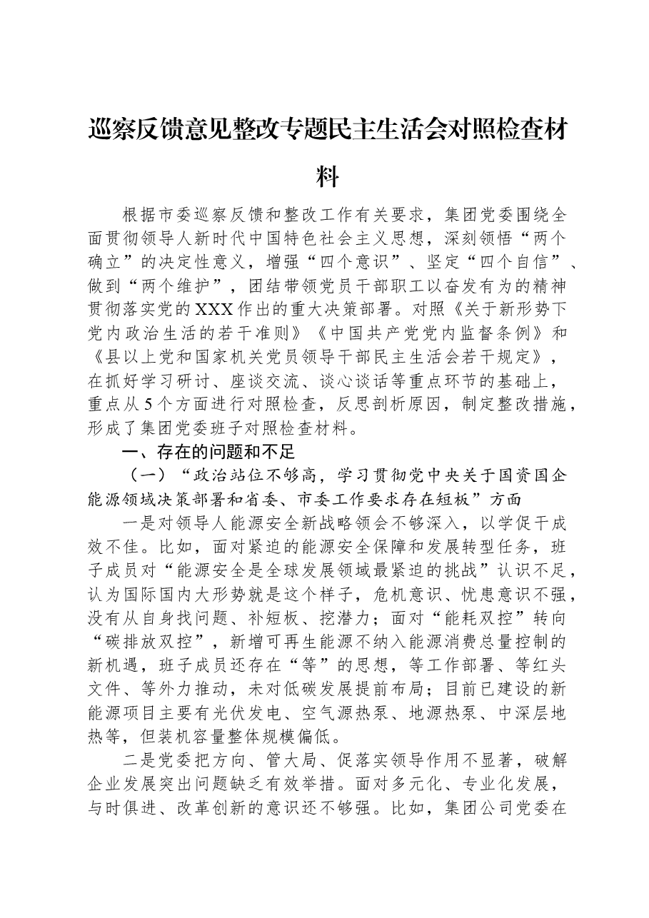 巡察反馈意见整改专题民主生活会对照检查材料.docx,第1页预览
