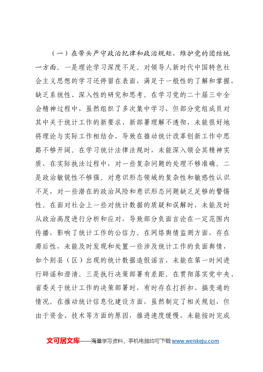 市统计局关于2024年度民主生活会领导班子对照检视剖析材料生活会整改 四个带头 典型案例.docx,第3页预览
