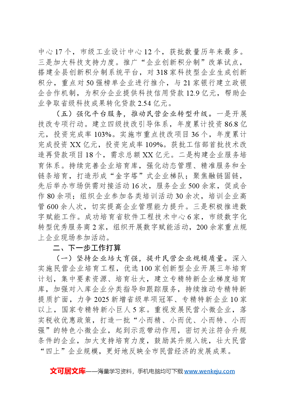 全县民营经济发展工作情况总结.docx，第3页预览