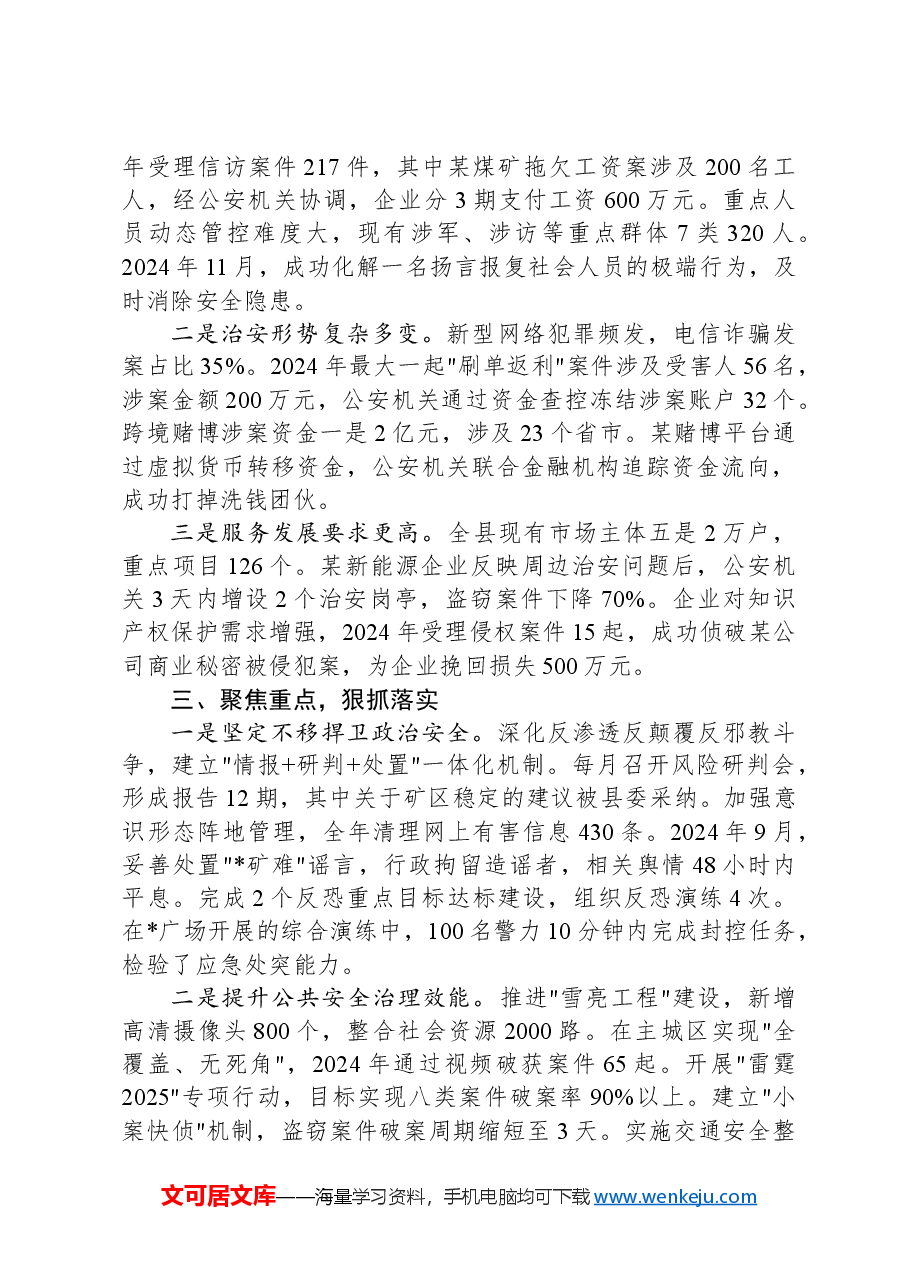 全县公安工作会议讲话材料.docx,第3页预览