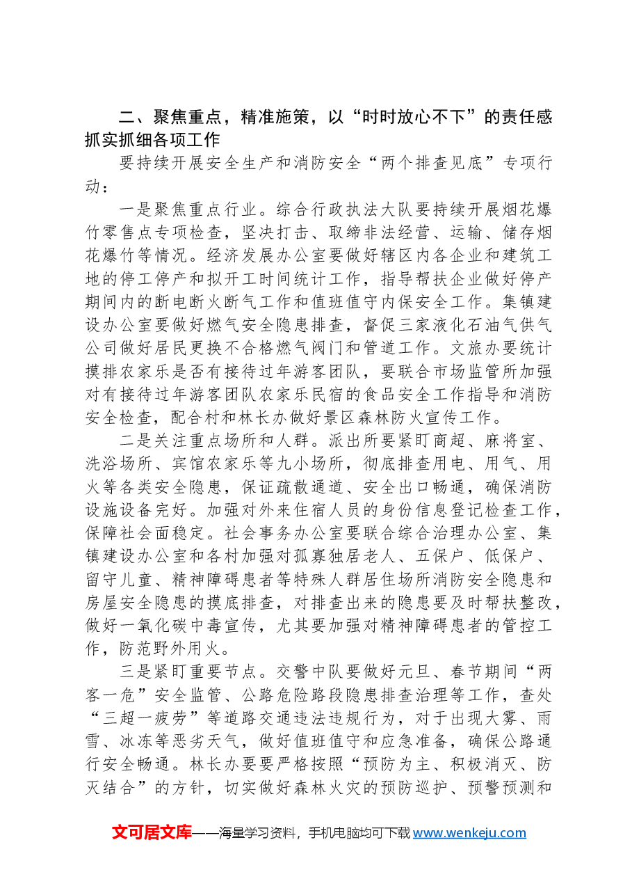 在2025年镇安全生产、消防安全和生态环境保护第一次全体会议上的讲话提纲.docx,第2页预览