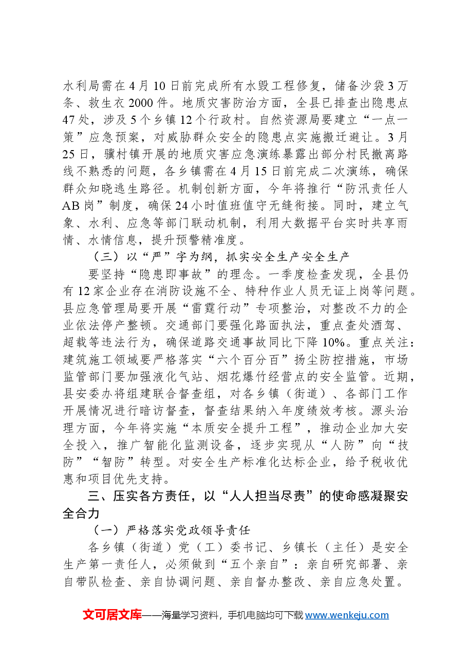 县安全生产委员会2025年第一次全体会议讲话.docx,第3页预览