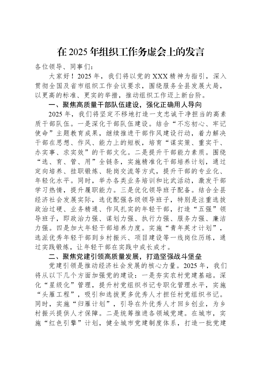 在2025年组织工作务虚会上的发言.docx,第1页预览