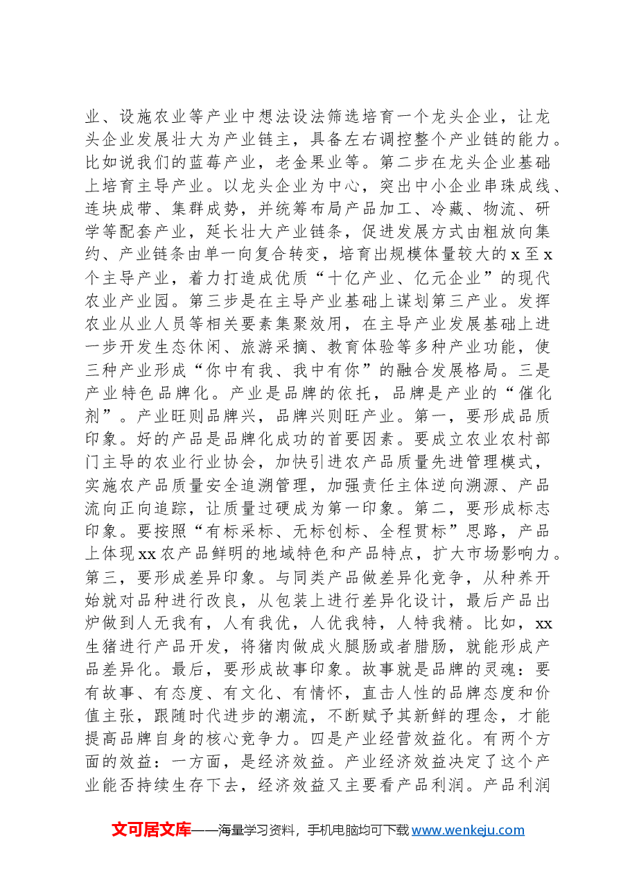 在2025年乡村振兴工作务虚会上的发言.docx,第2页预览