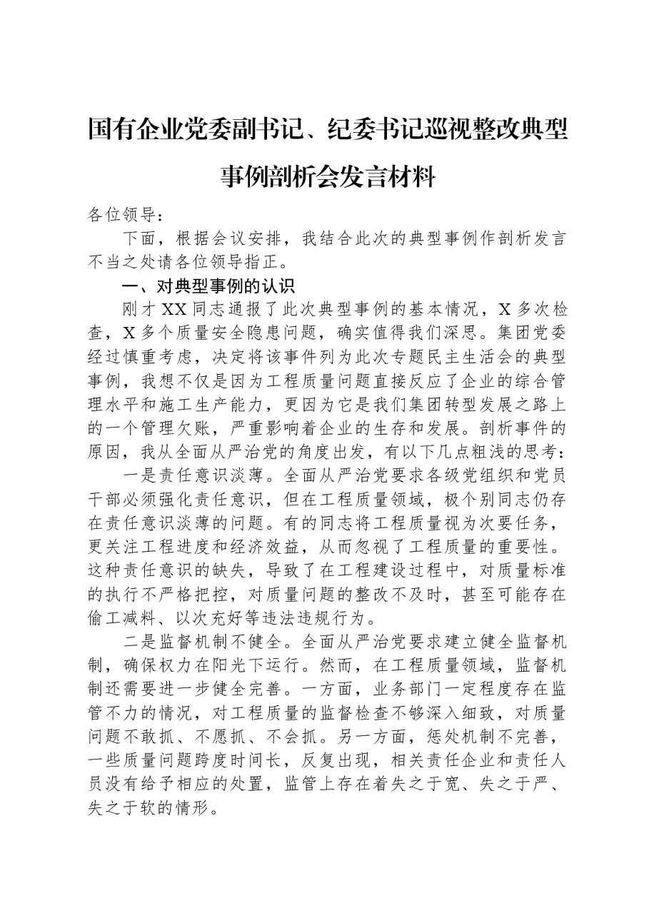 国有企业党委副书记、纪委书记巡视整改典型事例剖析会发言材料.docx,第1页预览
