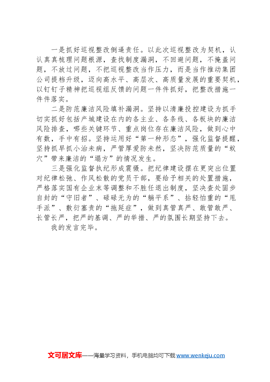 国有企业党委副书记、纪委书记巡视整改典型事例剖析会发言材料.docx,第3页预览