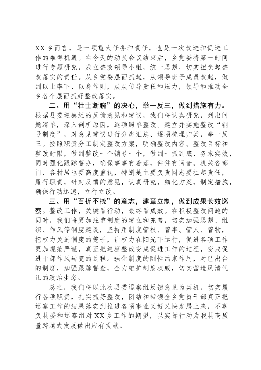 (6篇)巡视巡察表态发言.docx,第4页预览