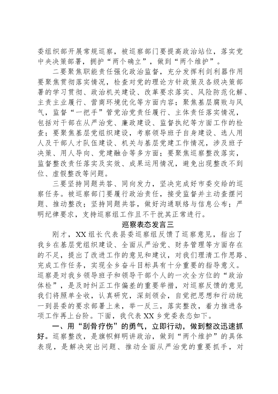 (6篇)巡视巡察表态发言.docx,第3页预览