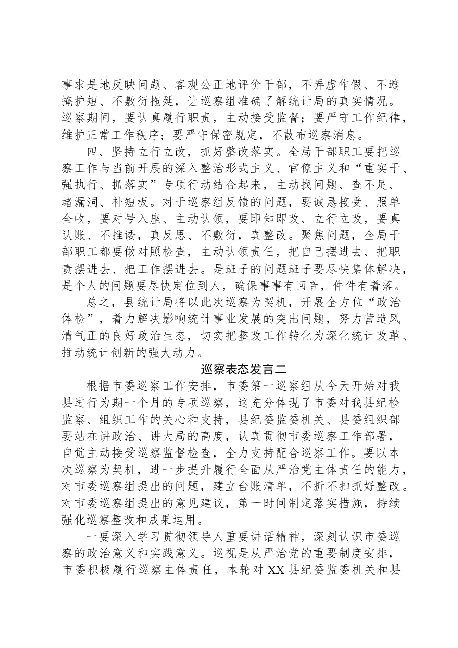 (6篇)巡视巡察表态发言.docx,第2页预览