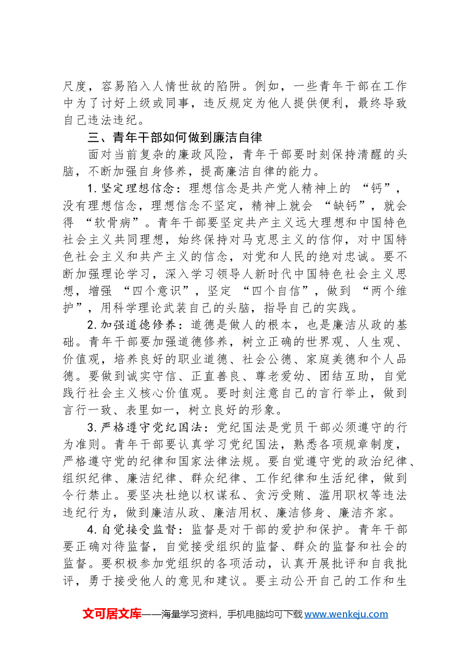 在青年干部廉政教育座谈会上的引导发言.docx,第3页预览