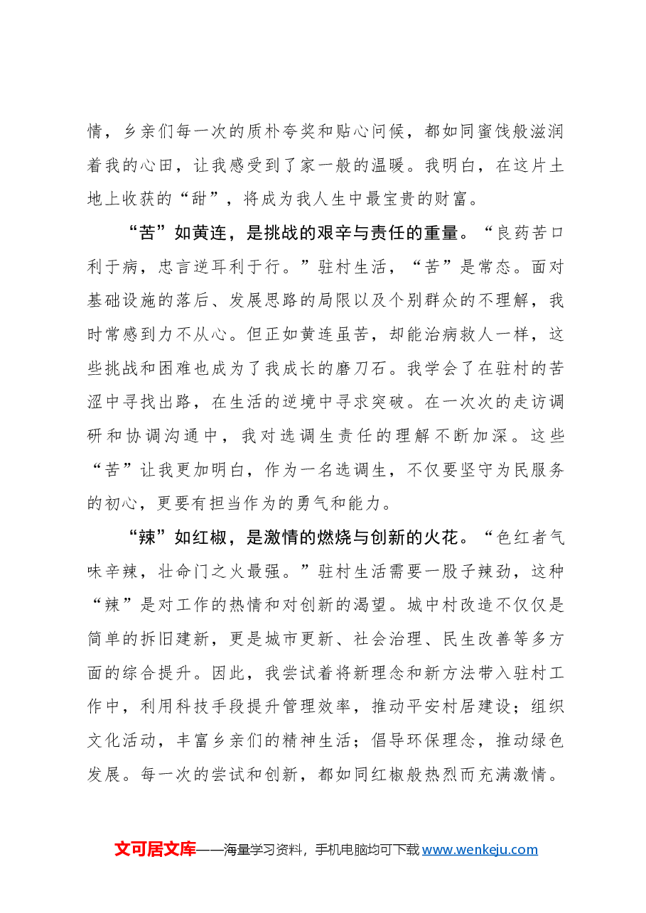 选调札记:驻村年货里的“酸甜苦辣咸”.docx,第2页预览