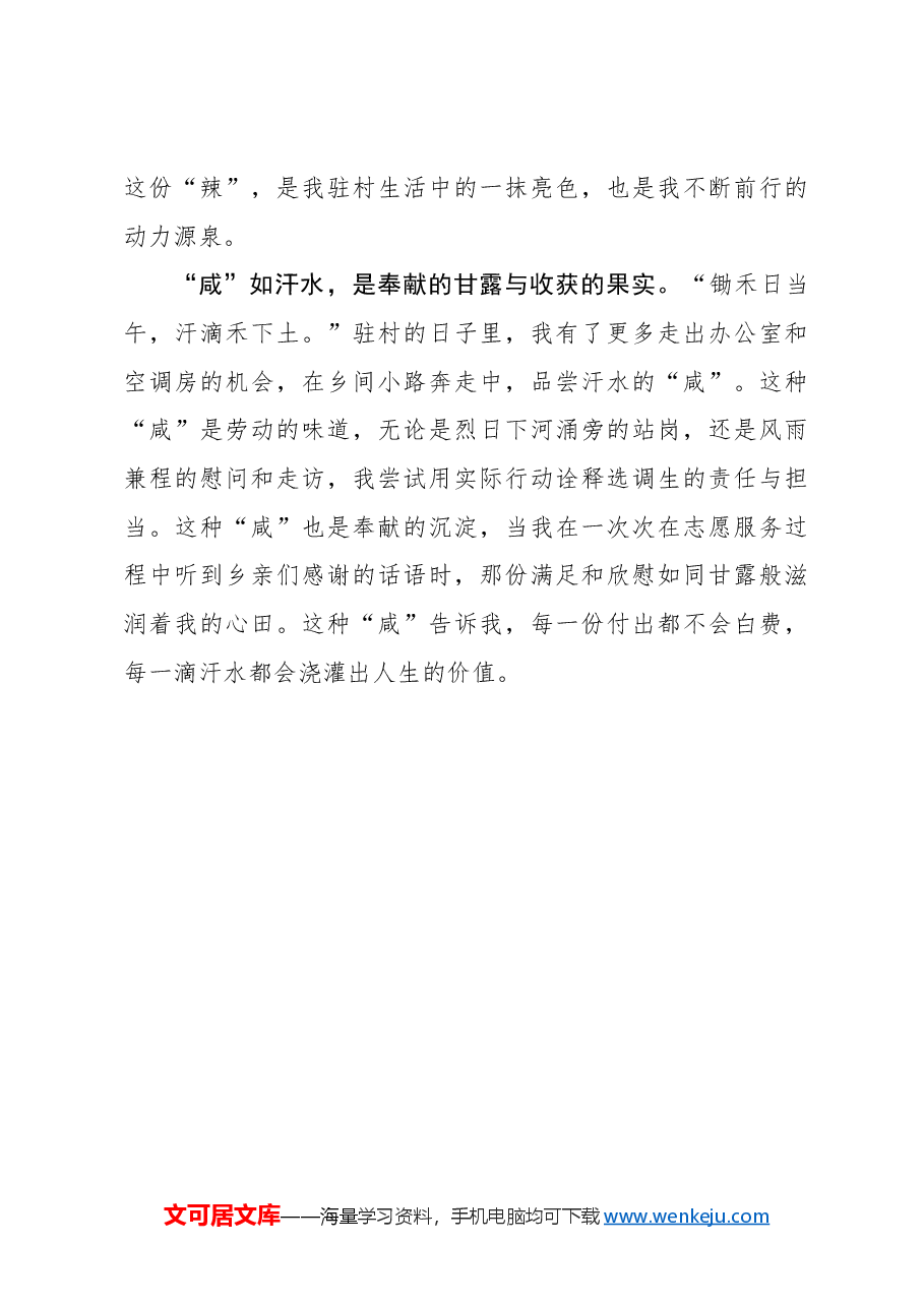 选调札记:驻村年货里的“酸甜苦辣咸”.docx,第3页预览