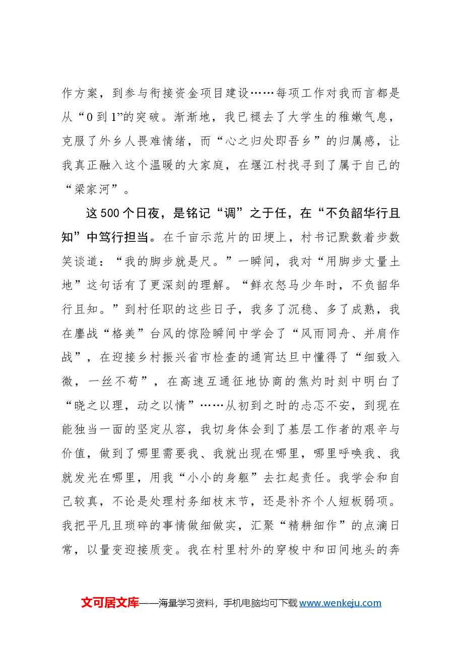 选调札记:我在xx的这500个日夜.docx,第2页预览