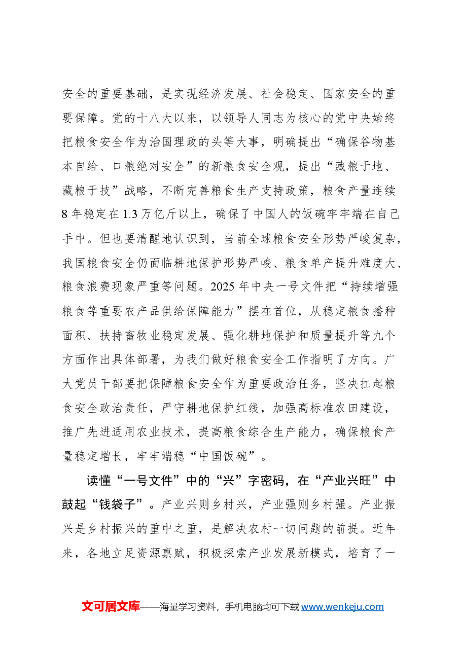 (28篇)2025年一号文件学深悟实文稿汇编.docx,第3页预览