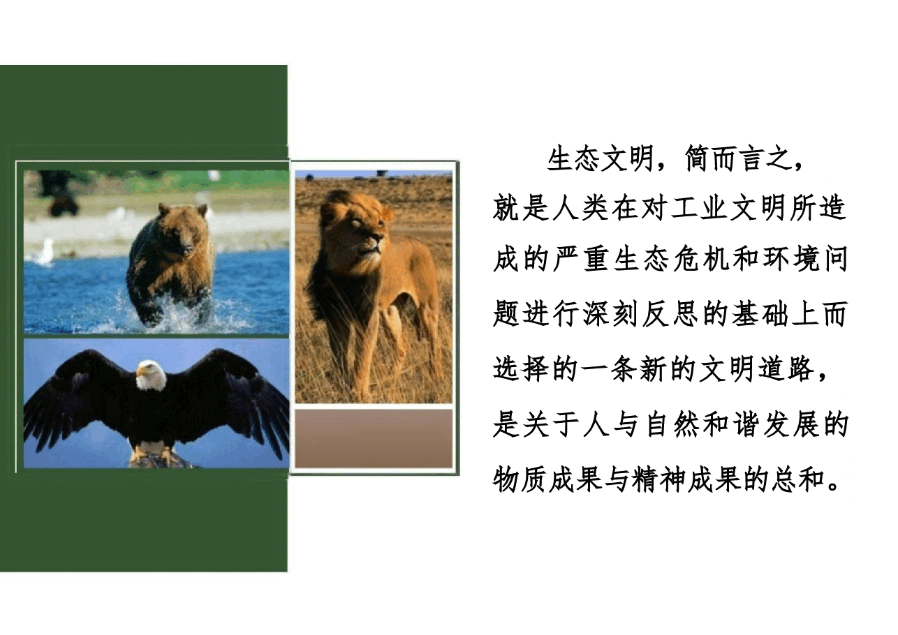 《新时代中国特色社会主义生态建设》《新时代中国特色社会主义理论与实践》课件专题七 .pdf，第3页预览