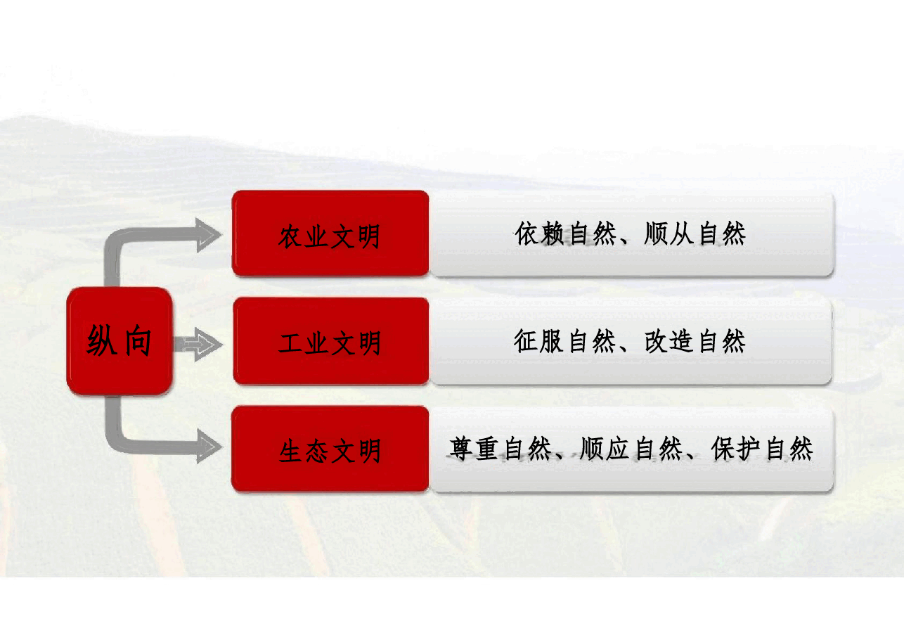 《新时代中国特色社会主义生态建设》《新时代中国特色社会主义理论与实践》课件专题七 .pdf，第4页预览