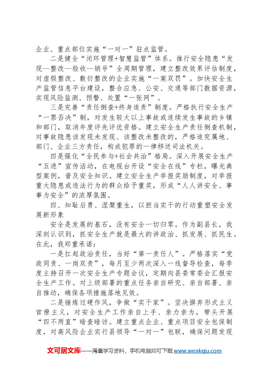 在全市安全生产工作会议上的表态发言.docx,第4页预览