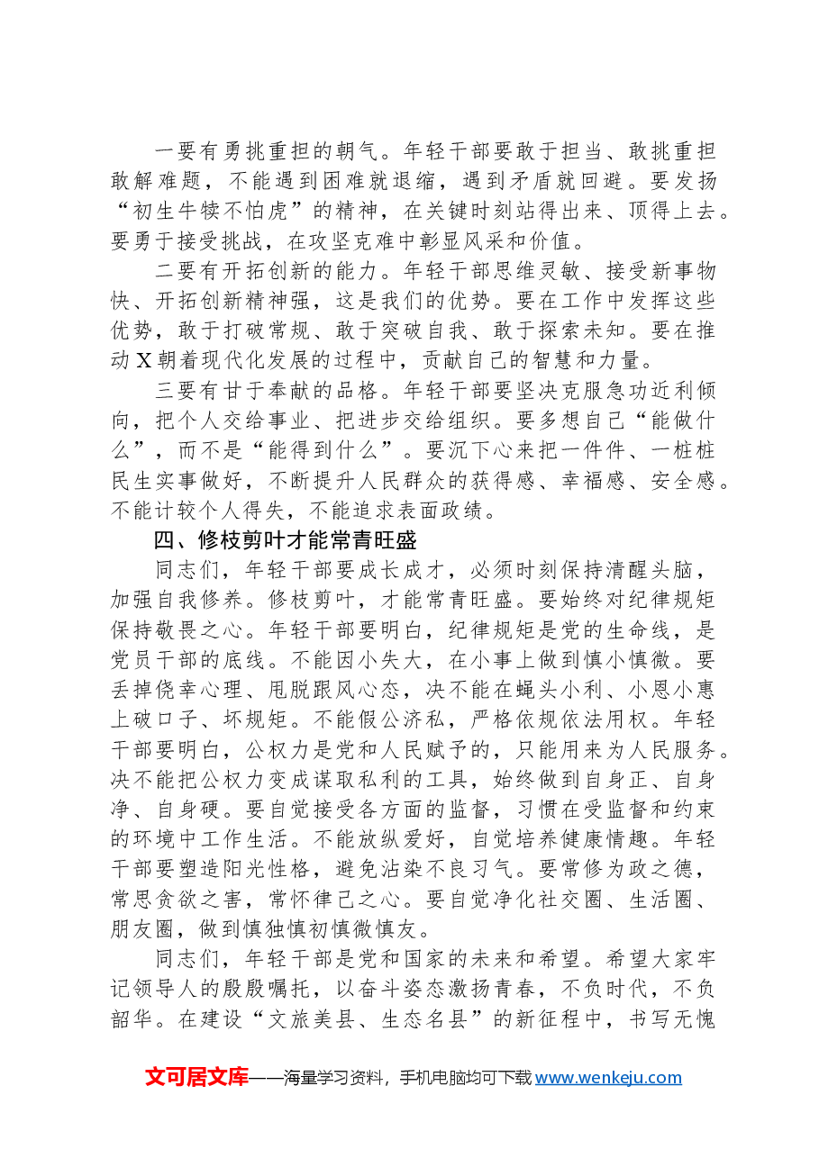 县委书记在2025年全县年轻干部座谈会上的讲话.docx,第3页预览