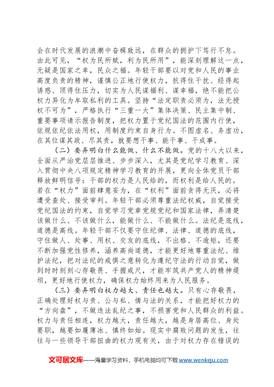 专题党课：年轻干部要守好“铁规矩、硬杠杠”，将纪律规矩落到实处.docx，第2页预览