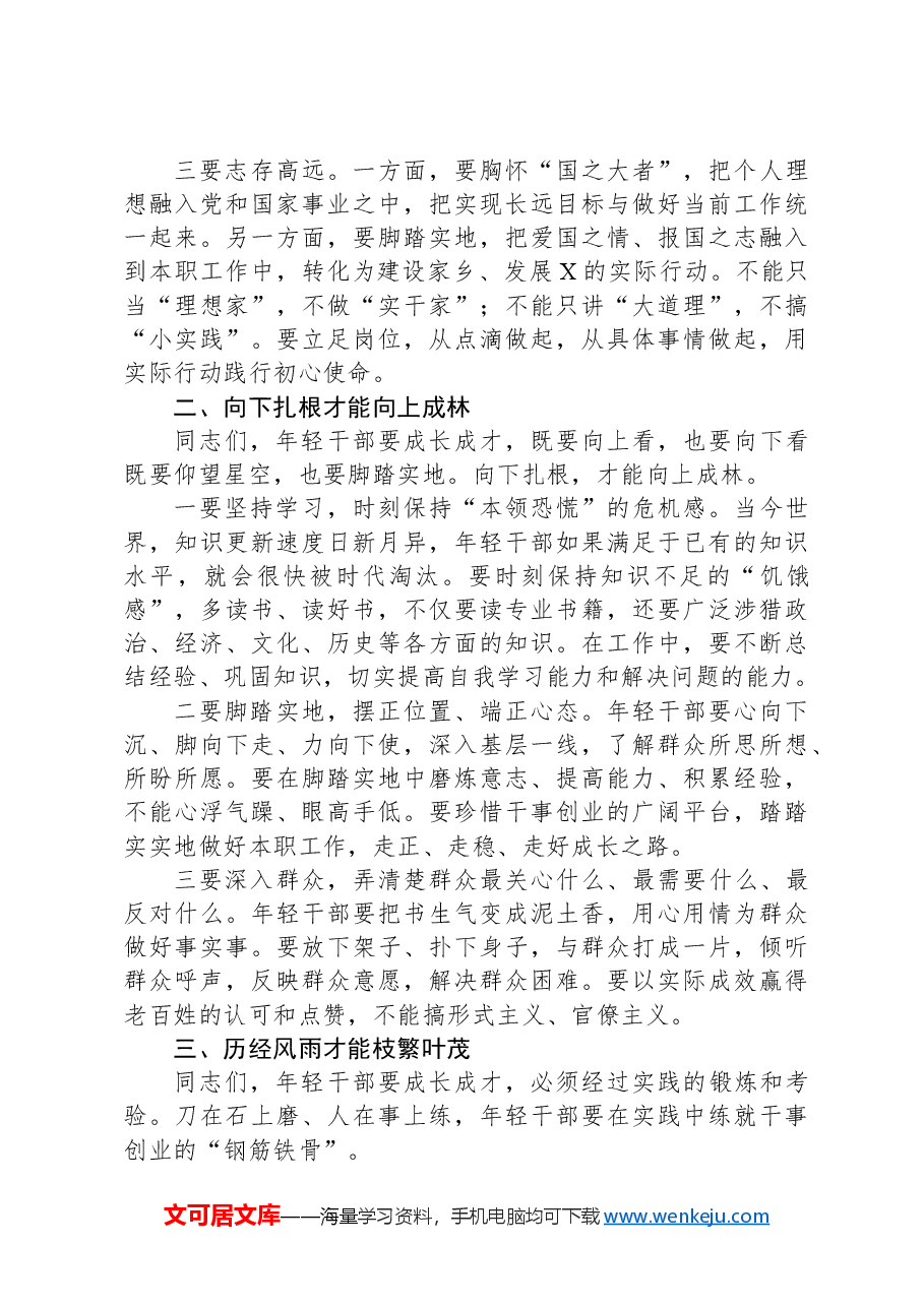 县委书记在2025年全县年轻干部座谈会上的讲话.docx,第2页预览