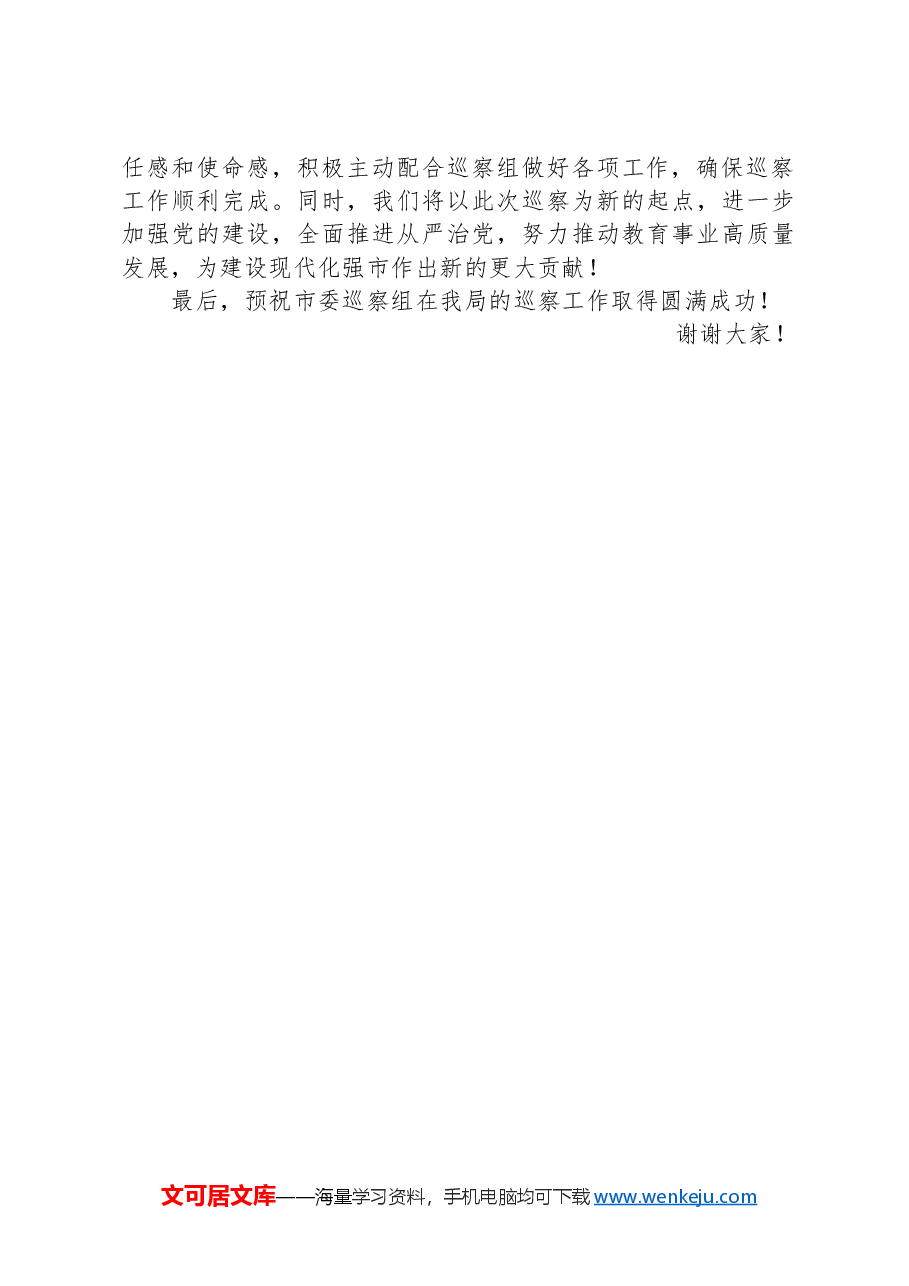 在2025年市委巡察启动会上的表态发言.docx,第4页预览