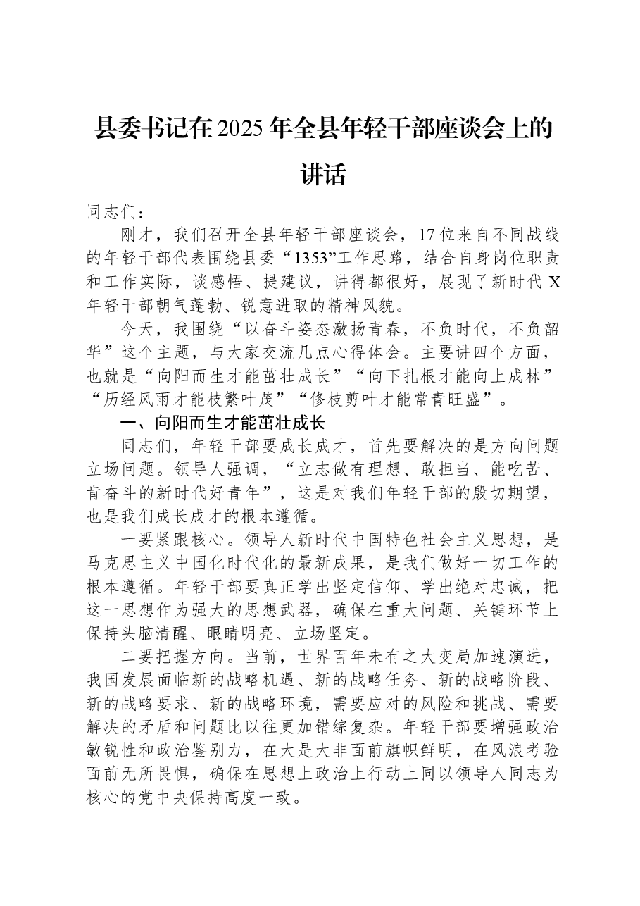 县委书记在2025年全县年轻干部座谈会上的讲话.docx,第1页预览